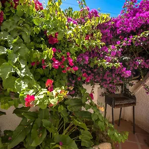 https://pinos-2.es-andalucia.com
